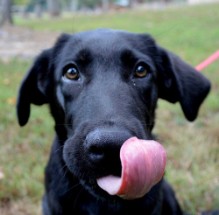 christian residential rehab